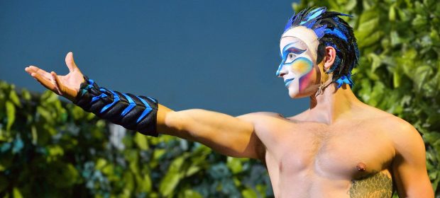 Cedric Belisle, artist acrobat in spectacolul Varekai by Cirque du Soleil