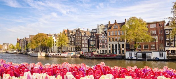 Amsterdam city skyline at canal waterfront with spring tulip flower, Amsterdam, Netherlands